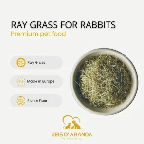 RAY GRASS PREMIUM HAY