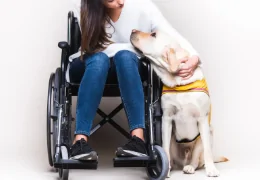 TYPES OF ASSISTANCE DOGS