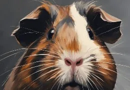 How to Prevent Obesity in Guinea Pigs?