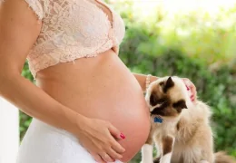 GATOS Y EMBARAZO: BENEFICIOS Y PRECAUCIONES